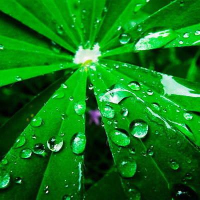 手机轰在线轰炸免费