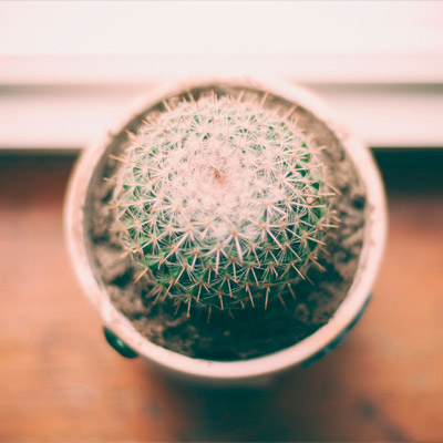 团购优惠的短信轰在线轰炸