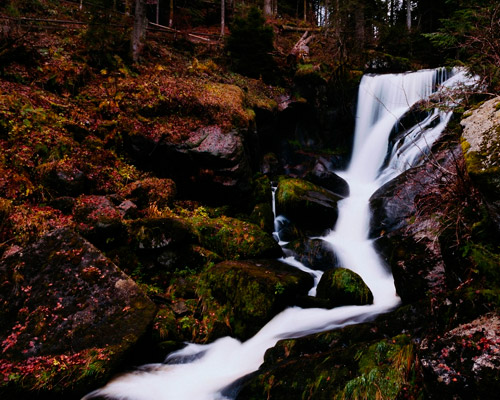 智能性能优化的短信轰炸服务